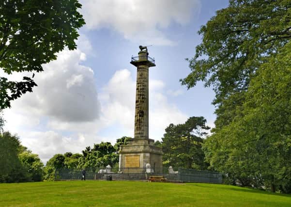 The Tenantry Column in  Alnwick by Jane Coltman
