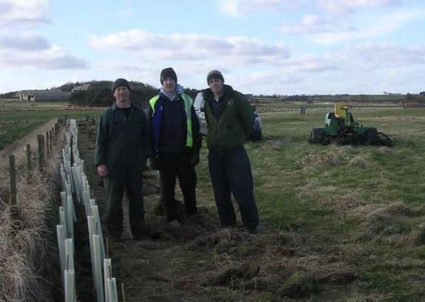Hedge restoration in the Northumberland Coast Area of Outstanding Natural Beauty.