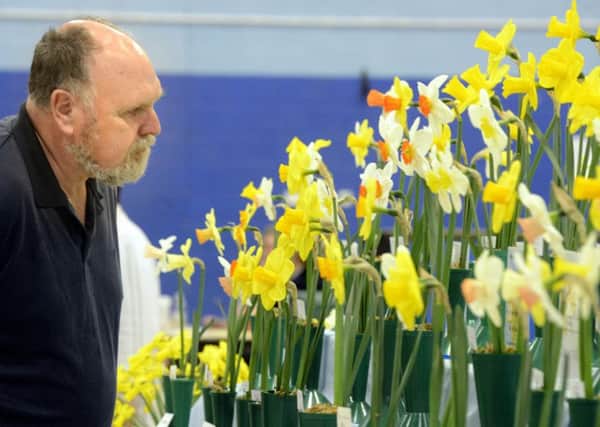 Alnwick Spring Show
Picture by Jane Coltman