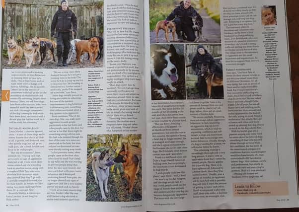 Part of the spread on SHAK in the May edition of Dogs Monthly.