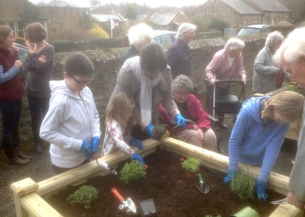 Young and old took part in the planting event. Picture by  Bob Dutton