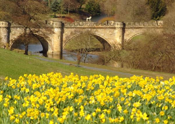 Lion Bridge Alnwick with daffodils, the Pastures Alnwick Castle