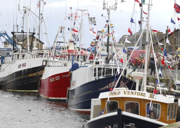 The fishing fleet at Amble Harbour.