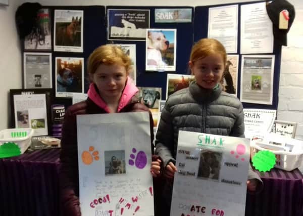 Keira and Ruby with their posters.