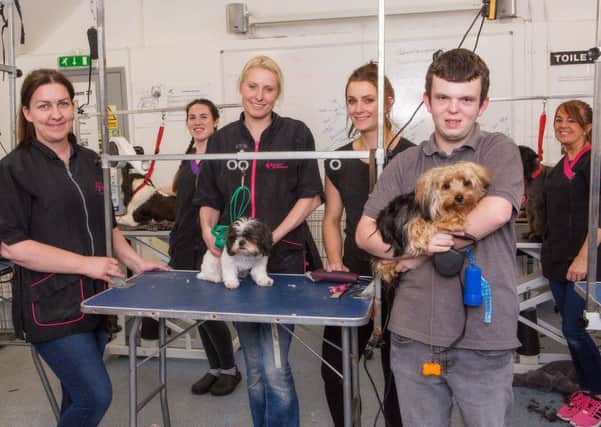 Staff and students at Northumberland Colleges dog grooming parlour. Picture by Trevor Walker (The Image Farm).