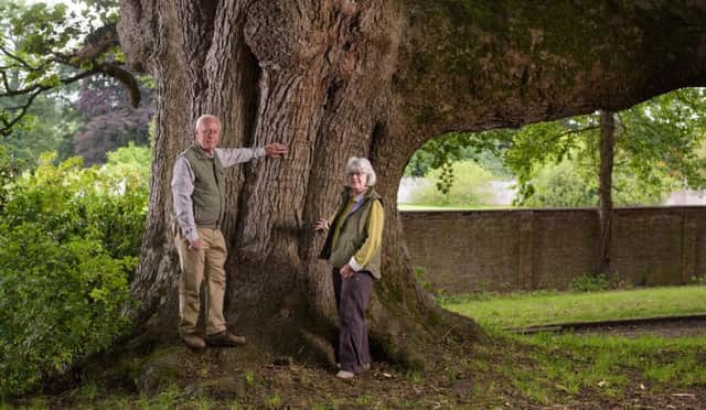 Antony and Gwen Chessell, The Flodden tree, The Hirsel, Coldstream, Scottish Tree of the Year, 2018, Woodland Trust Scotland