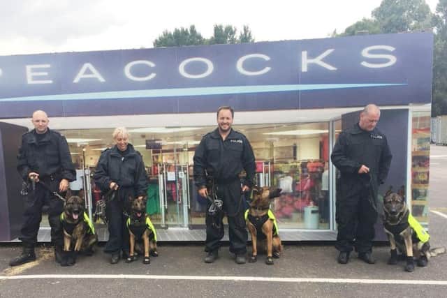 Police dogs show off their new footwear.
