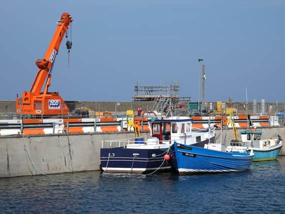 Seahouses harbour. Picture by Jane Coltman