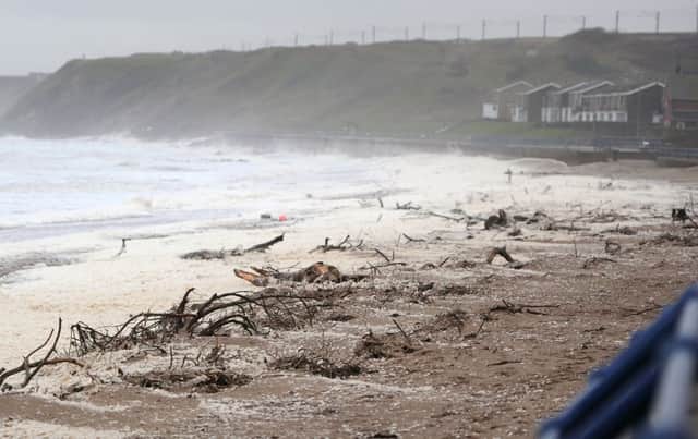 Storm debris washed up on Spittal beach
