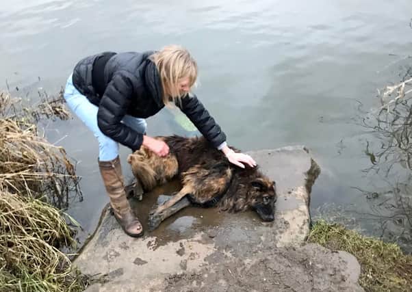 A woman was fined £80 and given a community order after she tied a rock to her dog and left it in a river to drown (Photo: SWNS)